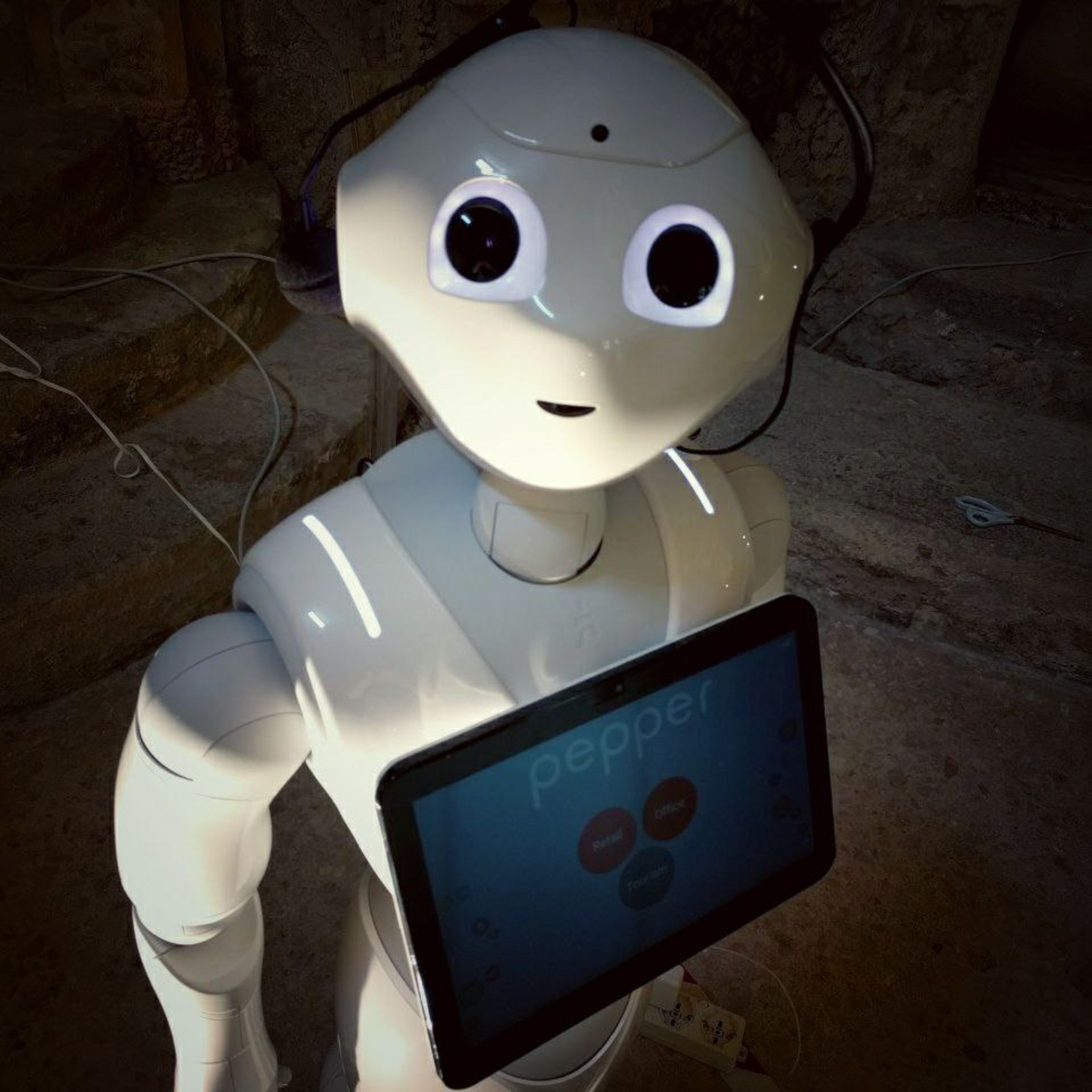SoftBank Pepper - Il Robot, il Ministro e Lo Stato Sociale episode artwork